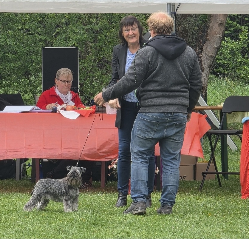 Elly vom Rheinboulevard 2