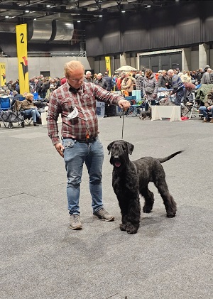 King Loui vom Hundshaus